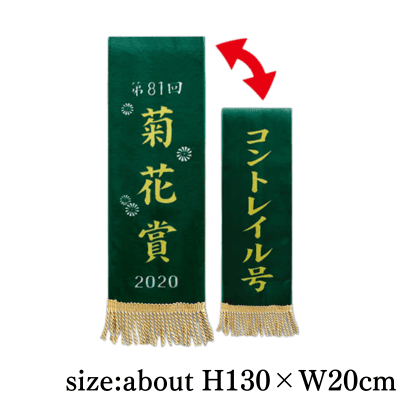 [Kikuka Sho] Thoroughbred Collection Winner Ray Muffler 2