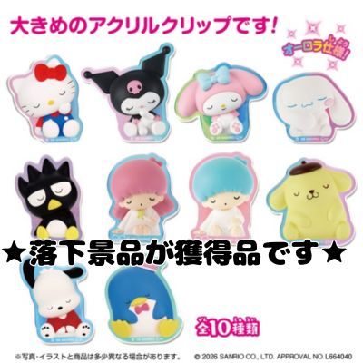 ■Sanrio Rotating Acrylic Keychain 2